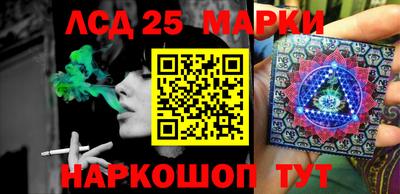 PSILOCYBIN Донской