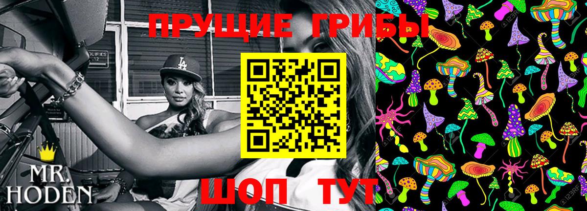 Псилоцибиновые грибы прущие грибы Черемхово
