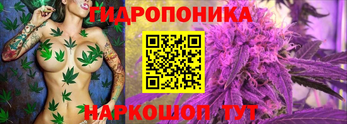 Каннабис план  Каннабис White Widow  Черемхово  Марихуана OG Kush  Канабис Amnesia  Вход с VPN 